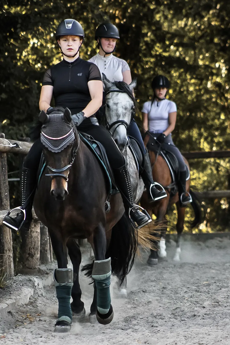 Drei Reiterinnen mit Helm im Dressurunterricht auf dem Reitplatz