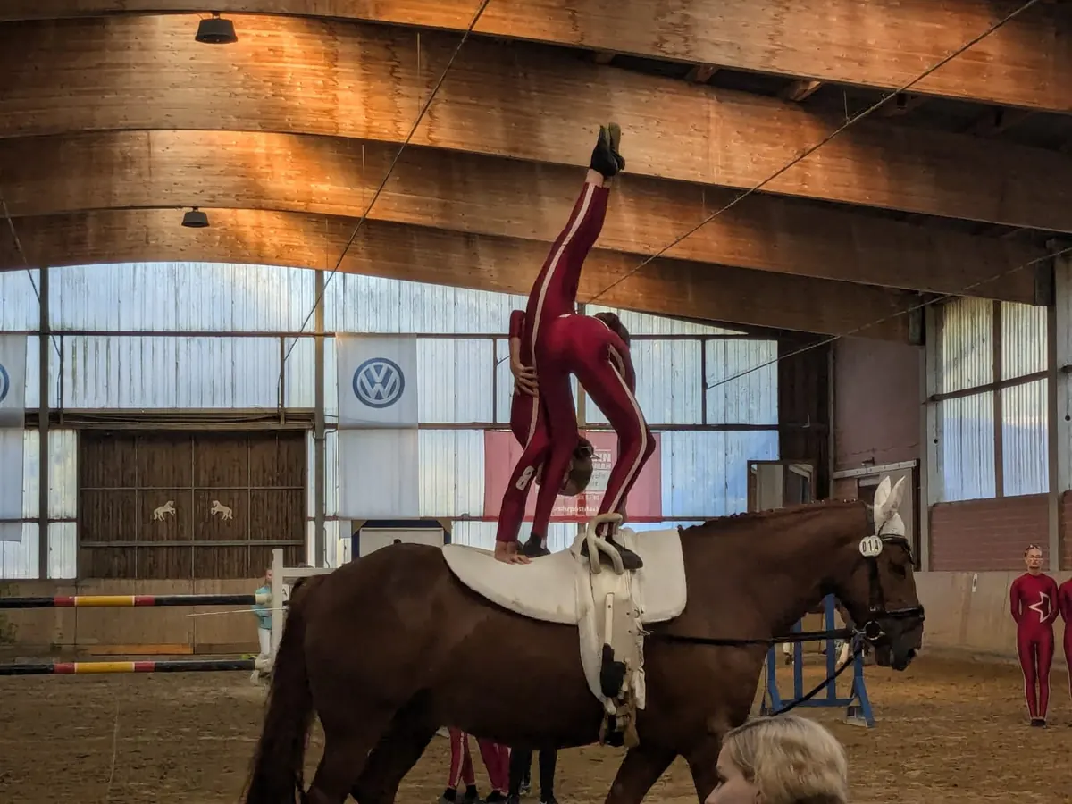 Voltigiererin im Handstand auf einem Pferd in der Halle